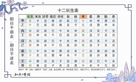 長生子|八字十二長生解讀——長生